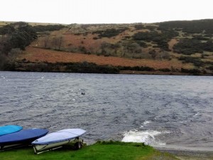 Now there's too much!