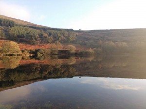 Week 3 - Not a breathe!